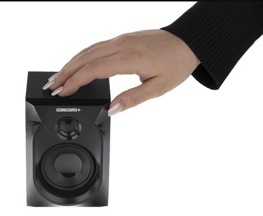 پخش کننده خانگی کنکورد پلاس مدل SF-R214